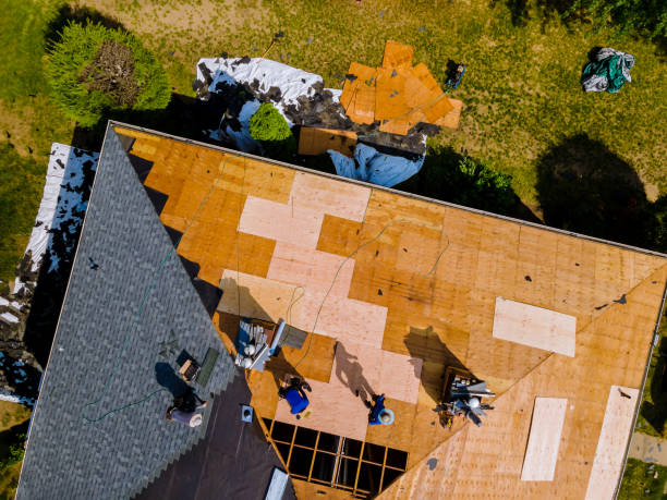 Quick and Trustworthy Emergency Roof Repair Services in Oviedo, FL